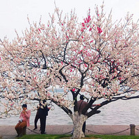 �������������ң���˿������ �һ����ƣ��Һ�����ӳ����