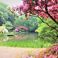 ̫���幫԰�Ķž黨