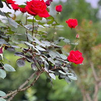 ���ݻ���