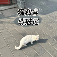 "˭�����������ǣ���ȥӺ�͹�����ݷ𣬽��������һ