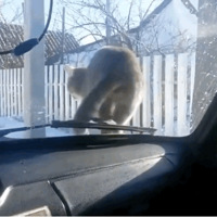 è�����г���¼��������ʱ�����µ�����