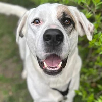 �������˳���ȥ�����������ж���Ϊ�������¼�...