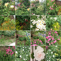 ���������ʴ򿨣�