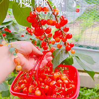 ӣң˰Ž
