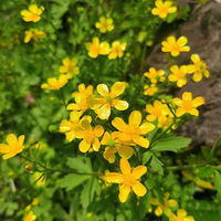 �����С����������ũ����