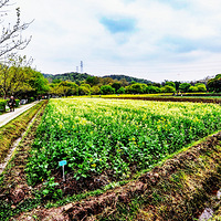 ����֮��ɫ268-�Ұ����� ������������3��