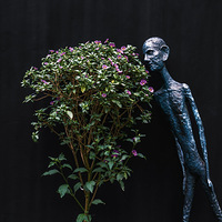 һ���С�ζ�����Ŀ��ȡ����;ư�