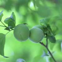 ·�ߵ���÷��