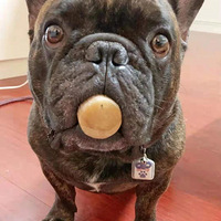 �ù��Ӱ�æ�չ˵ܵܣ��������ȴ�Ǹ����ı�ķ��������