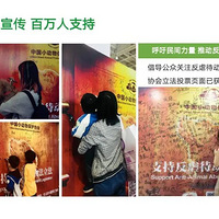 ���Ӽ����˹������8ֻС�����ʮ����Ȥ������һ�롭�����Ҽ���