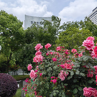 ���ֹ㳡��״�¼������������������ʺ����գ�2023.04.21