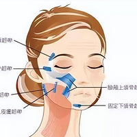 ��Ĥ��������������Ĥ�����沿�������۸񡢾޿�~