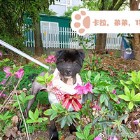 �����˹���������������������