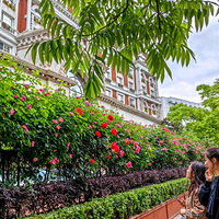 ʡ���������е�Ǿޱ��ǽ  2023.04.22