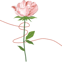 С���ټһ��������조�������⡱���������¡��������ᡱħ�����