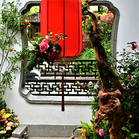 ��ׯ�¼���չ����