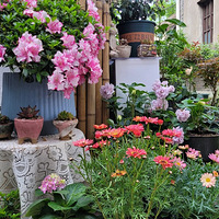 �˺ӱ�����������