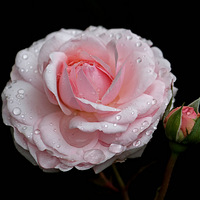 2023��ׯ�¼���չ����չƷ