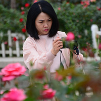 һ���ں��ݻ���������Ƭ