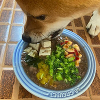 ���飬�Ҳ������ˣ������ң����и������Ҳ��µ���