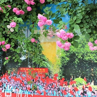 �����Ļ�ǽ���ϣ�