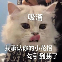 С�类��è���˴���꣬��ܺ�ŷ��֣�ԭ����ֹһ������