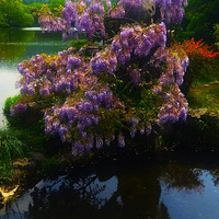 ��������2