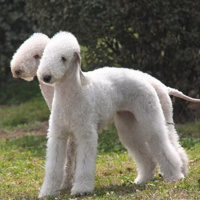 ��Ϊ������ҳ��ߣ���ؼҺ�ȴ����...�Ǹ�ð������ģ�