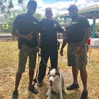 �����߶������Ͻ�����һ��ִ�ڻ������¹ʡ����ѣ��뿼���Ƶ��Ķ�