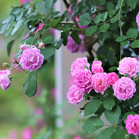 �����Ļ�ǽ���£�