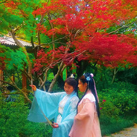 ֪��֪�� Ӧ���̷ʺ���