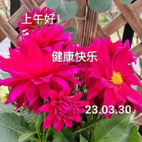 86������������������̵�������ʲô���ģ�