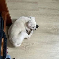 С�̹��յ�������ֻ��˯���䣬���һ���º󡭡�ү��װ�ˣ���