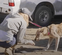 ��һֻͷ���������ӣ��ݵ�Ƥ���ǵ����˹��������º󡭹���С��