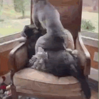 �����ñ��ɾ������󣬹���Ϊ���ܻ����ɣ��ְ��10086��