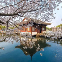 ��ȥ����������ͷ�ˣ�����3�����������ȱ���