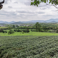 ���˺�ɽ��԰