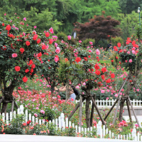 �¼��������������¼���չ���ϣ�