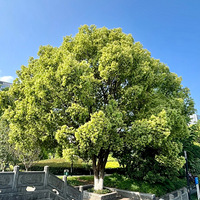 ���Ե�����