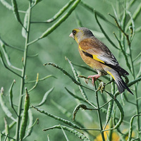 �Ͳ����ϵĽ��ȸ��2��