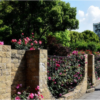 �¼���������԰