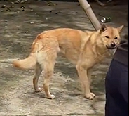 ���ӿ����˰����Ϊ��������ί�������¼����������֪���㲻�ᶪ