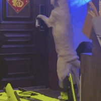 ������1¥�߶�����22��¥�Ҽң��۵�˫�ۻ�ɢ���ǹ���ǽ��