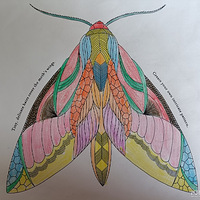 �������ʴ򿨣�