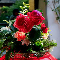 2023��ׯ�¼���չ