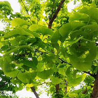 ���ĵ����ӣ�һ�����̣��������£��̵����������泩��