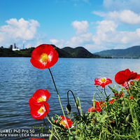 ���ϵ���ȥ�ͷ̤��