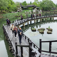 �����ƺ�����