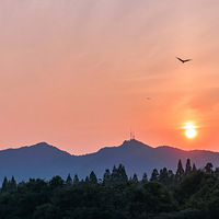 é�Ҳ�������