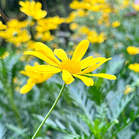 ���ʵĴ���